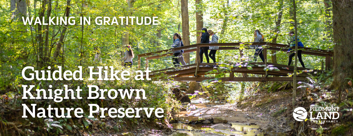 Guided Hike at Knight Brown Nature Preserve